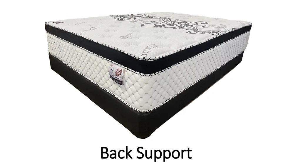 Back Support Mattress